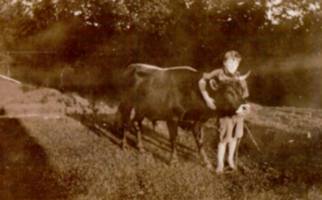 Kid with ox